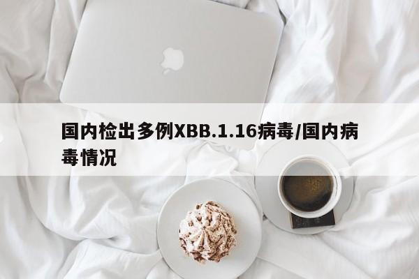 国内检出多例XBB.1.16病毒/国内病毒情况