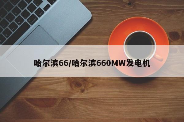 哈尔滨66/哈尔滨660MW发电机
